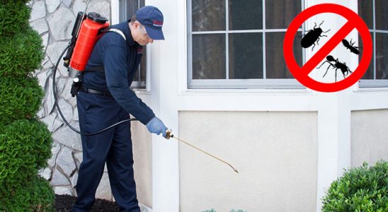 Bingöl Hamam Böceği İlaçlama böcek ilaçlama ve haşere kontrolü — ilaclama-tr.com